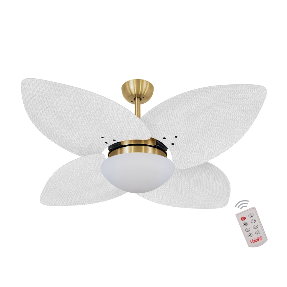 Ventilador de Teto Dormamu Dourado 4 Pás Palmae Branco 127V com Controle Ventilador de Teto Dormamu Dourado 4 Pás Palmae Branco 127V com Controle