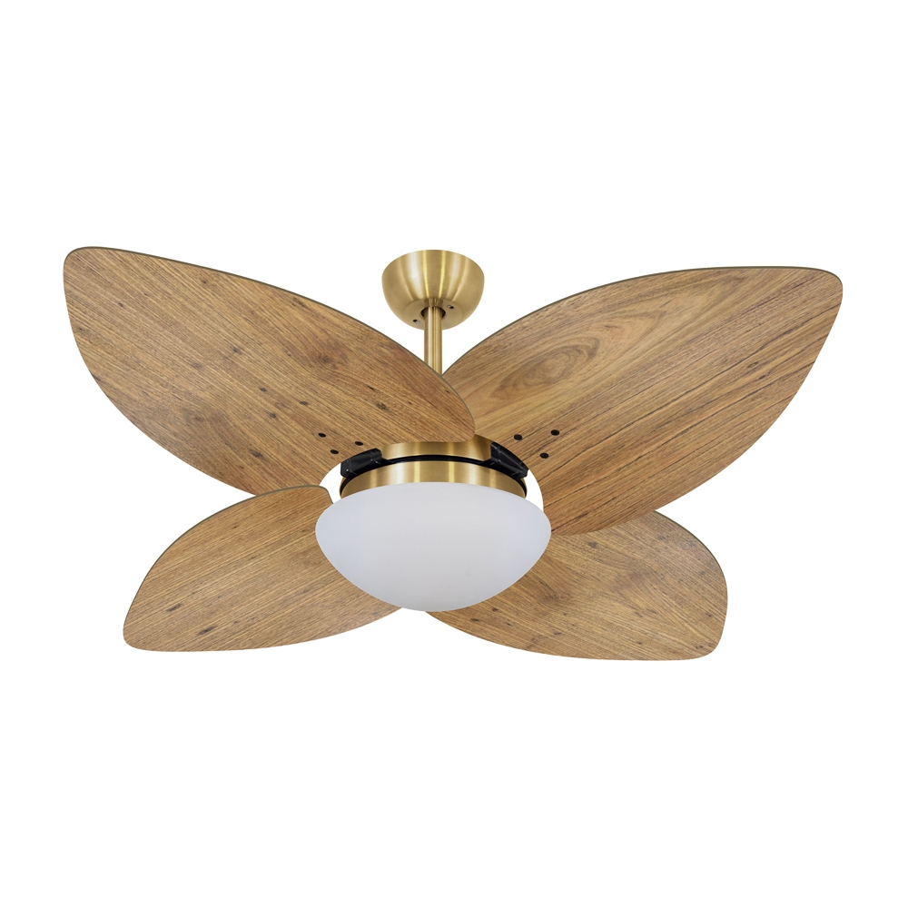 Ventilador de Teto Kovalski Dourado 4 Pás Rádica Freijó 127V Ventilador de Teto Kovalski Dourado 4 Pás Rádica Freijó 127V