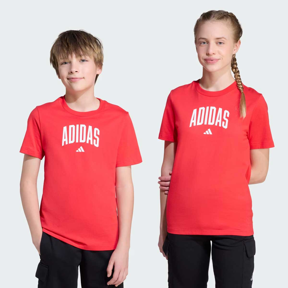 Camiseta Adidas Colegiatte Juvenil Vermelha Camiseta Adidas Colegiatte Juvenil Vermelha