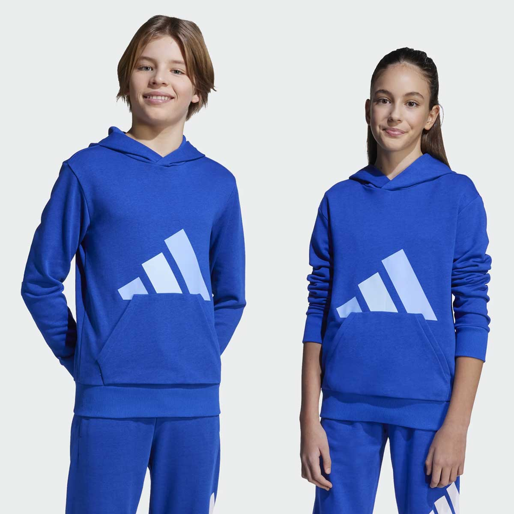 Moletom Adidas Essentials Big Logo Com Capuz Juvenil Azul