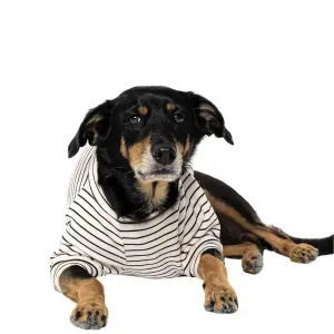 Casaco Toy para Cães e Gatos Emporium Distripet Offwhite - XXL