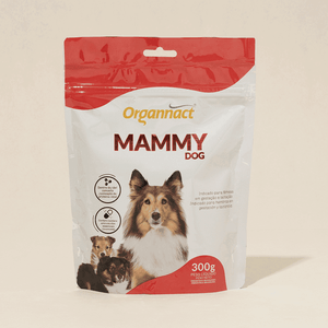 Suplemento Alimentar Organnact Mammy Dog Suplemento Alimentar Organnact Mammy Dog