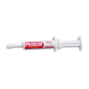 Suplemento Alimentar Probsil Vansil - 14 g Suplemento Alimentar Probsil Vansil - 14 g
