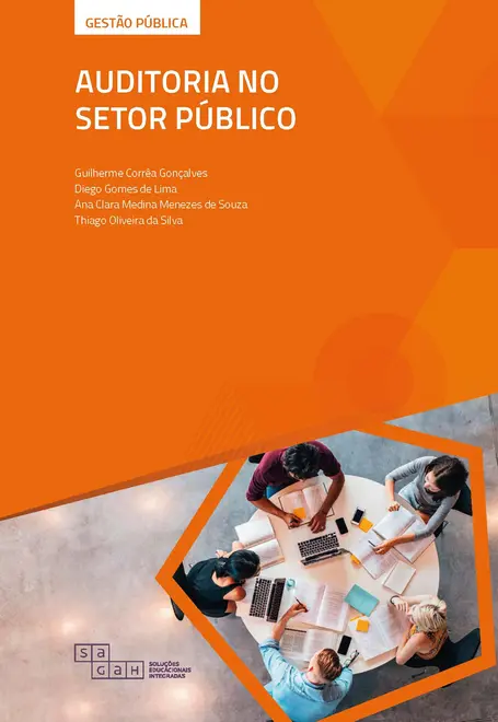 Auditoria no Setor Público