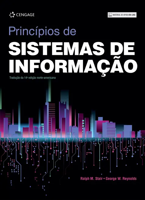 Princípios De Sistemas De Informação Princípios De Sistemas De Informação