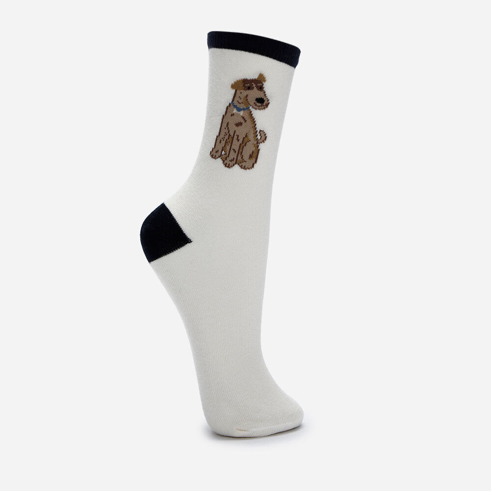 Meia feminina cano alto cachorro off white Meia feminina cano alto cachorro off white