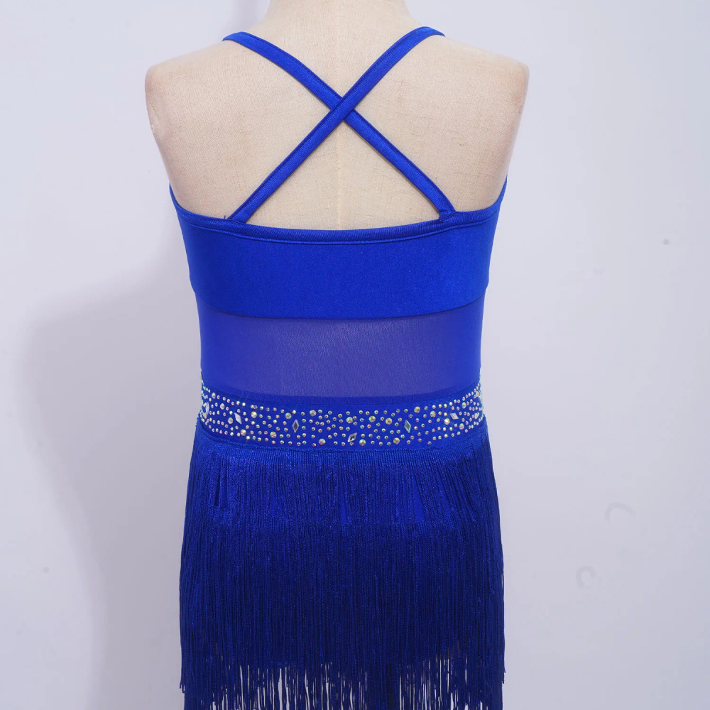 Kids Girls Latin Cha-cha Samba Tango Leotard Dress Dance Costume Rhinestones Sheer Mesh Fringe One Piece Bodysuit Jazz Dancewear