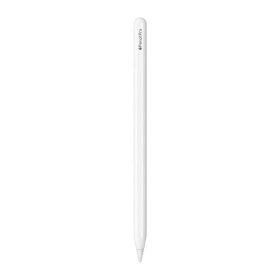 Caneta Apple Pencil Pro, iPadOS 17.5 ou posterior, Bluetooth, Branco - MX2D3AM/A