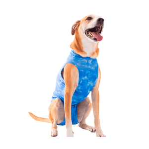 Roupa Pós-Cirúrgica Dry Light Supreme para Cães Machos Castração Pet Med Azul Roupa Pós-Cirúrgica Dry Light Supreme para Cães Machos Castração Pet Med Azul