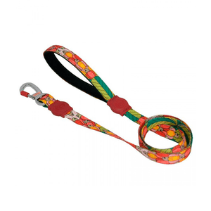 Guia Tropical Caju São Pet Vermelha Guia Tropical Caju São Pet Vermelha