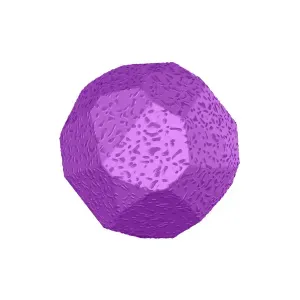 Brinquedo Bola Maciça Rocky Ball Stark Pet Roxo Brinquedo Bola Maciça Rocky Ball Stark Pet Roxo