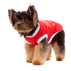 Camiseta de Natal Bichinho Chic Vermelha Camiseta de Natal Bichinho Chic Vermelha