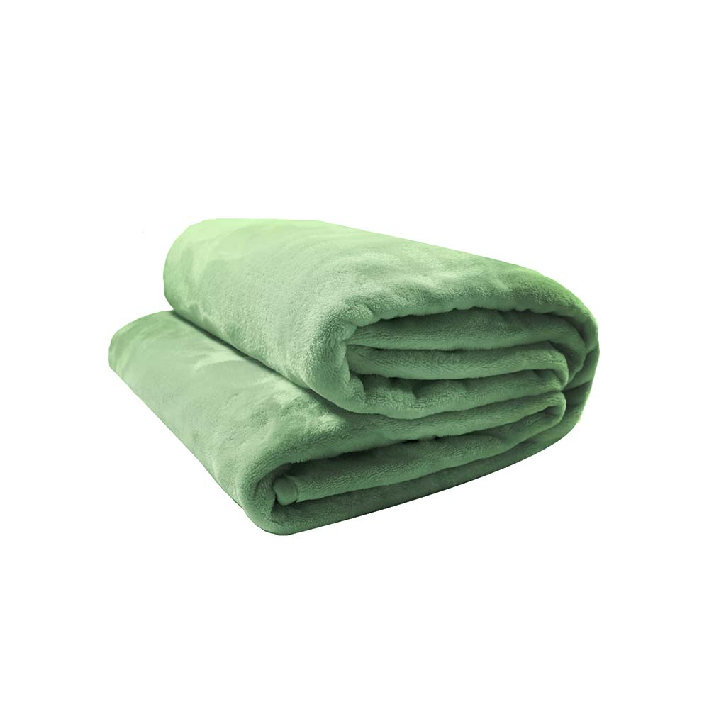 Cobertor Velour De Microfibra Neo 300g Queen Verde Camesa Cobertor Velour De Microfibra Neo 300g Queen Verde Camesa