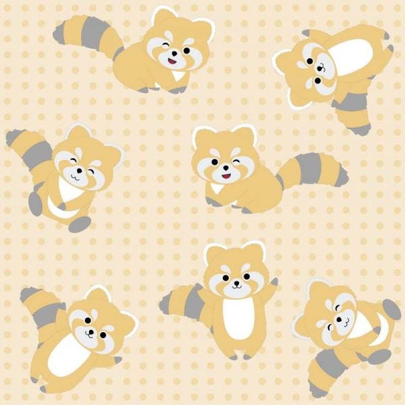 Papel de Parede Kids Guaxinim Papel de Parede Kids Guaxinim