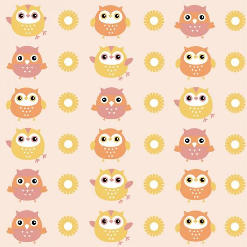 Papel de Parede Kids Corujinhas Papel de Parede Kids Corujinhas