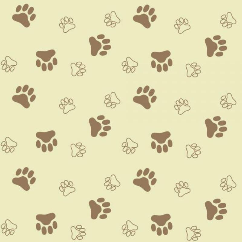 Papel de Parede Kids Patinhas Cachorro Papel de Parede Kids Patinhas Cachorro