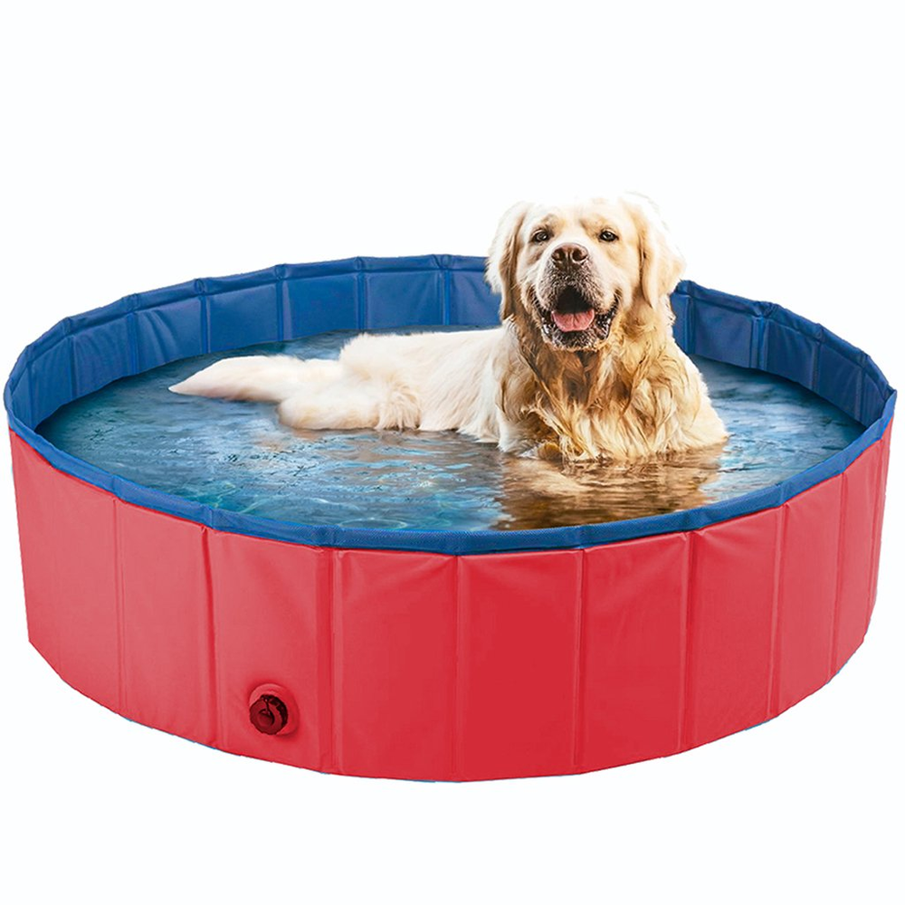 Piscina para Pets 80x20cm Meu Pet Piscina para Pets 80x20cm Meu Pet