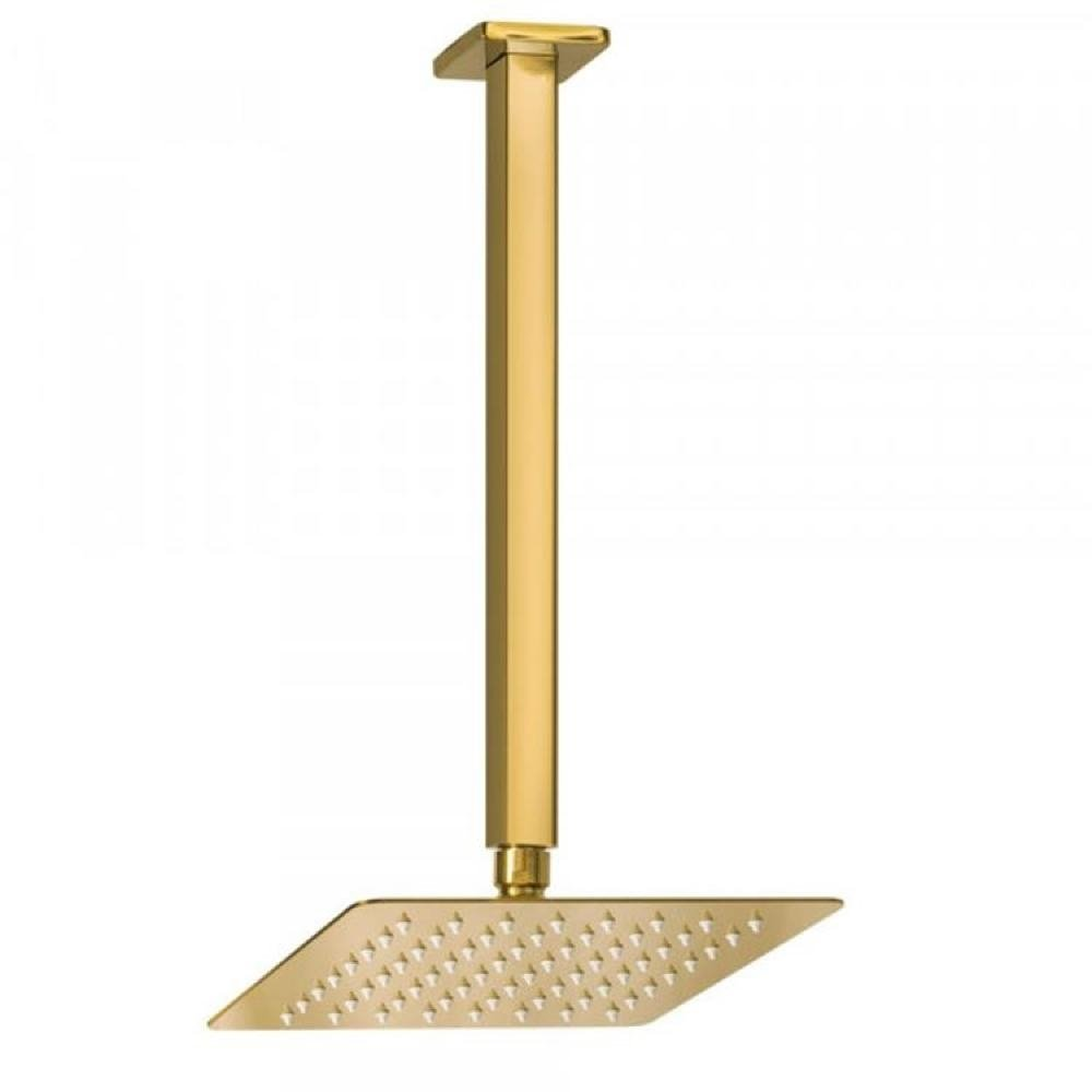 Chuveiro Ducha Slim Quadrado de Teto 20x20cm Dourado Belcca - CDT01-DR Chuveiro Ducha Slim Quadrado de Teto 20x20cm Dourado Belcca - CDT01-DR