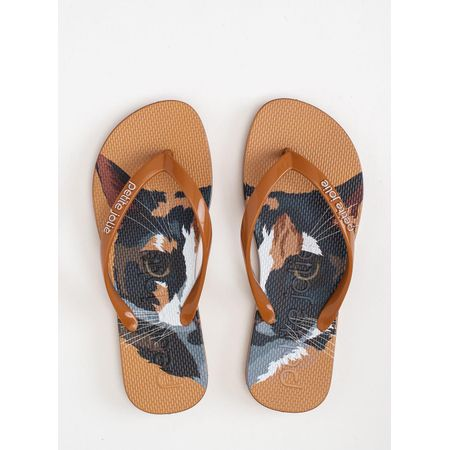 Chinelo Petite Jolie Fresh Pet Lovers 15 PJ6969 33-4 Chinelo Petite Jolie Fresh Pet Lovers 15 PJ6969 33-4
