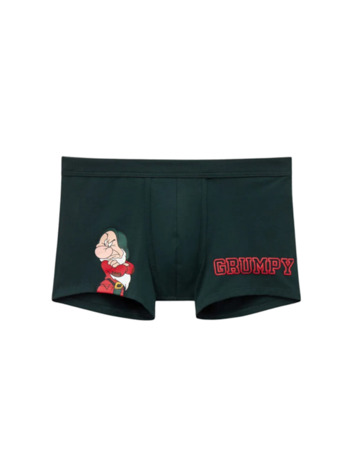 Cueca Boxer Disney Zangado Em Algodão Supima - Verde Cueca Boxer Disney Zangado Em Algodão Supima - Verde