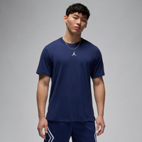 Camiseta Jordan Dri-FIT Sport Masculina