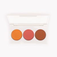 Paleta multifuncional bronzer iluminador e blush beleza cea