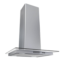 Coifa Ilha 60cm Vidro Reto Fogatti Inox - 110V