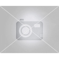 Freezer Congelador Vertical Eco Gelo Compacto -18 ºC 85L EFV100 220V - EOS - 220V