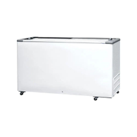 Freezer Horizontal Porta de Vidro 503 Litros Fricon HCEB503-2V000 Branco 220V - 220V