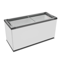Freezer Horizontal Metalfrio NF55S Tampa de Vidro para Sorvetes e Congelados 491 Litros NF55S 110V
