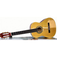 Violao Acustico Classico NYLON GNA-111NT Natural Harmonics