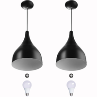 2 Lustres Pendente Gota Media Alumínio 30cm Preto + Lampada