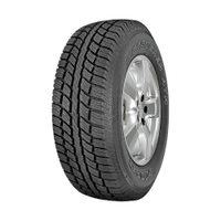 Pneu Cooper by Goodyear Aro 17 Discoverer ATR 265/65R17 112T Letras Brancas