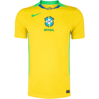 Camisa da Seleção do Brasil CBF 25/26 Torcedor Pro Nike Masculina