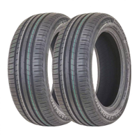 Kit 2 Pneus Roadking Aro 16 195/60R16 Argos HP 89H