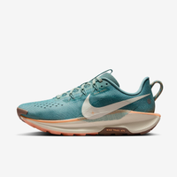 Tênis Nike Pegasus Trail 5 Feminino