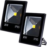 Kit 2 Refletores Led Holofote Externo Jardim Muro 30w Branco