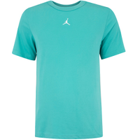 Camiseta Jordan Nike Masculina Sport Dri-Fit SS