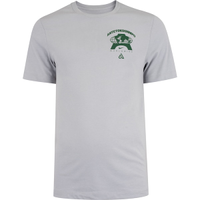 Camiseta Antetokounmpo Nike Worldwide Masculina