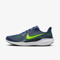 Tênis Nike Pegasus 41 Masculino