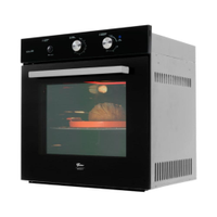 Forno a Gás de Embutir Fischer Infinity 78 litros com Grill 220V - 220V