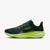 Tênis Nike Pegasus 41 Feminino