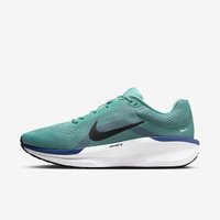 Tênis Nike Winflo 11 Masculino