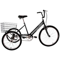 Bike Bicicleta Triciclo Adulto Aro 20 Food Bike Preto