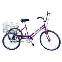 Bicicleta Triciclo Adulto Aro 26 Vermelho - Roxo