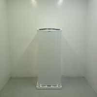 Geladeira Consul Frost Free 300 Litros Branca Com Freezer Supercapacidade - Crb36ab 220V