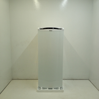 Geladeira Consul Frost Free 300 Litros Branca Com Freezer Supercapacidade - Crb36ab 220V