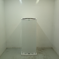 Geladeira Consul Frost Free 300 Litros Branca Com Freezer Supercapacidade - Crb36ab 220V