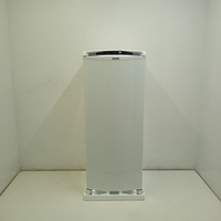 Geladeira Consul Frost Free 300 Litros Branca Com Freezer Supercapacidade - Crb36abbs2_Wotimo_Jl5408646 220V