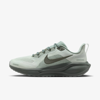 Tênis Feminino Nike Air Zoom Pegasus 41